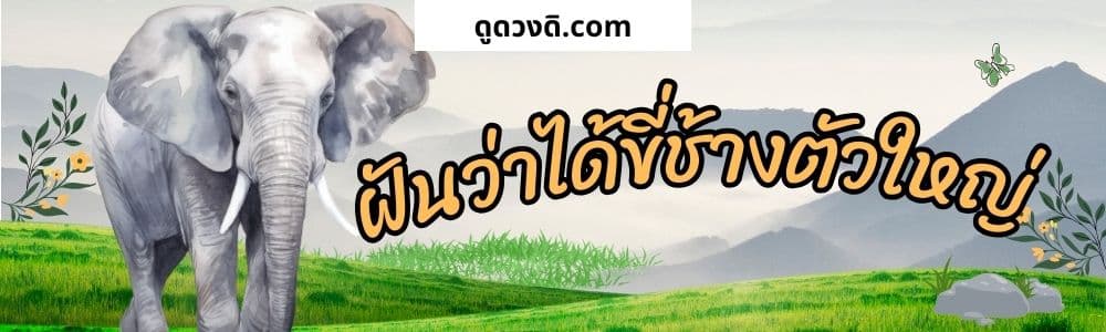 ฝันว่าได้ขี่ช้างตัวใหญ่